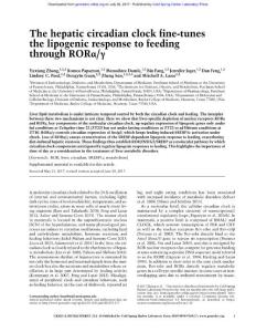 Genes Dev.-2017-Zhang-The hepatic circadian clock fine-tunes the lipogenic response to feeding through RORα:γ