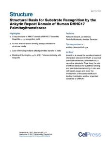 Structure_2017_Structural-Basis-for-Substrate-Recognition-by-the-Ankyrin-Repeat-Domain-of-Human-DHHC17-Palmitoyltransferase