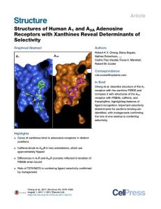 Structure_2017_Structures-of-Human-A1-and-A2A-Adenosine-Receptors-with-Xanthines-Reveal-Determinants-of-Selectivity