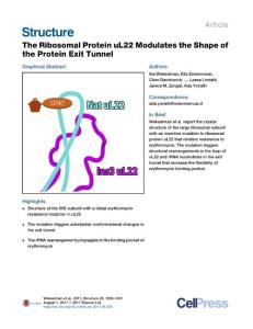 Structure_2017_The-Ribosomal-Protein-uL22-Modulates-the-Shape-of-the-Protein-Exit-Tunnel