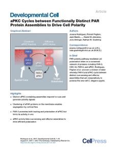 Developmental Cell-2017-aPKC Cycles between Functionally Distinct PAR Protein Assemblies to Drive Cell Polarity