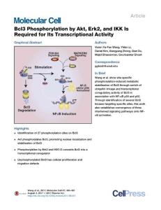 Molecular-Cell_2017_Bcl3-Phosphorylation-by-Akt-Erk2-and-IKK-Is-Required-for-Its-Transcriptional-Activity