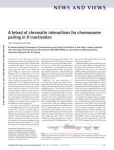 nsmb.3447-A tetrad of chromatin interactions for chromosome pairing in X inactivation