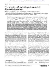 Genome Res.-2017-Guschanski-The evolution of duplicate gene expression in mammalian organs
