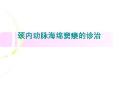 颈内动脉海绵窦瘘的诊治 ppt课件