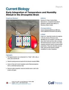 Current-Biology_2017_Early-Integration-of-Temperature-and-Humidity-Stimuli-in-the-Drosophila-Brain