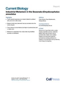 Current-Biology_2017_Industrial-Melanism-in-the-Seasnake-Emydocephalus-annulatus