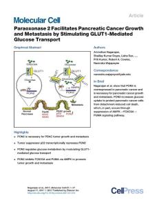 Molecular-Cell_2017_Paraoxonase-2-Facilitates-Pancreatic-Cancer-Growth-and-Metastasis-by-Stimulating-GLUT1-Mediated-Glucose-Transport