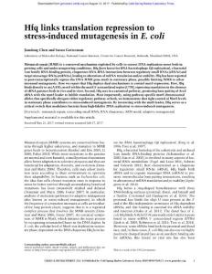 Genes Dev.-2017-Chen-Hfq links translation repression to stress-induced mutagenesis in E. coli
