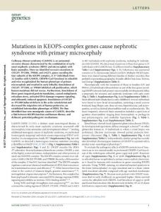 ng.3933-Mutations in KEOPS-complex genes cause nephrotic syndrome with primary microcephaly