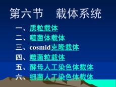 第六節(jié)　 載　體　系　統(tǒng)