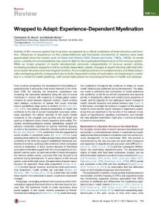 Neuron_2017_Wrapped-to-Adapt-Experience-Dependent-Myelination