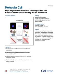 Molecular-Cell_2017_Myc-Regulates-Chromatin-Decompaction-and-Nuclear-Architecture-during-B-Cell-Activation