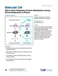Molecular-Cell_2017_Nitric-Oxide-Regulates-Protein-Methylation-during-Stress-Responses-in-Plants