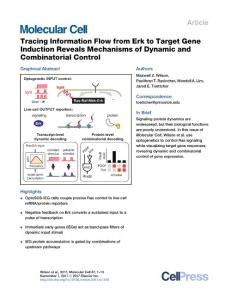 Molecular-Cell_2017_Tracing-Information-Flow-from-Erk-to-Target-Gene-Induction-Reveals-Mechanisms-of-Dynamic-and-Combinatorial-Control