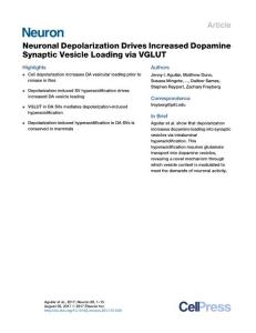 Neuron_2017_Neuronal-Depolarization-Drives-Increased-Dopamine-Synaptic-Vesicle-Loading-via-VGLUT