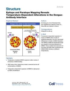 Structure_2017_Epitope-and-Paratope-Mapping-Reveals-Temperature-Dependent-Alterations-in-the-Dengue-Antibody-Interface