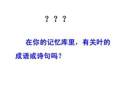 专题叶教学PPT