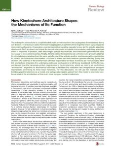 Current-Biology_2017_How-Kinetochore-Architecture-Shapes-the-Mechanisms-of-Its-Function