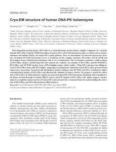 cr2017110a-Cryo-EM structure of human DNA-PK holoenzyme
