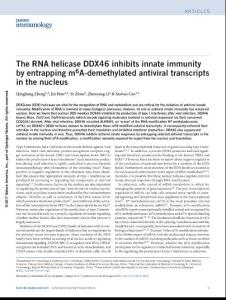 ni.3830-The RNA helicase DDX46 inhibits innate immunity by entrapping m6A-demethylated antiviral transcripts in the nucleus