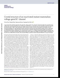 nsmb.3457-Crystal structure of an inactivated mutant mammalian voltage-gated K+ channel
