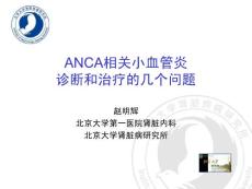 ANCA相关小血管炎诊断和治疗的几个问题--赵明辉