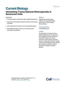 Current-Biology_2017_Unmasking-Transcriptional-Heterogeneity-in-Senescent-Cells