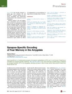 Neuron_2017_Synapse-Specific-Encoding-of-Fear-Memory-in-the-Amygdala