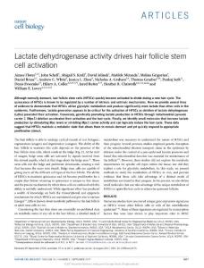 ncb3575-Lactate dehydrogenase activity drives hair follicle stem cell activation