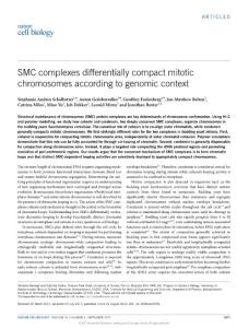 ncb3594-SMC complexes differentially compact mitotic chromosomes according to genomic context