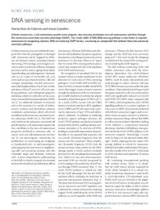 ncb3603-DNA sensing in senescence