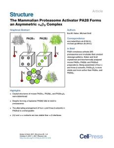 Structure_2017_The-Mammalian-Proteasome-Activator-PA28-Forms-an-Asymmetric-4-3-Complex