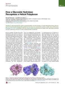 Structure_2017_How-a-Glycoside-Hydrolase-Recognizes-a-Helical-Polyglucan