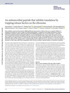 nsmb.3439-An antimicrobial peptide that inhibits translation by trapping release factors on the ribosome
