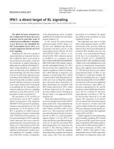 cr2017114a-IPA1- a direct target of SL signaling