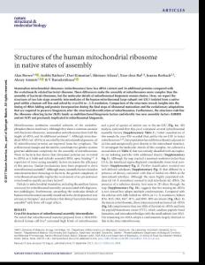 nsmb.3464-Structures of the human mitochondrial ribosome in native states of assembly