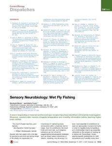 Current-Biology_2017_Sensory-Neurobiology-Wet-Fly-Fishing