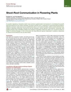 Current-Biology_2017_Shoot-Root-Communication-in-Flowering-Plants