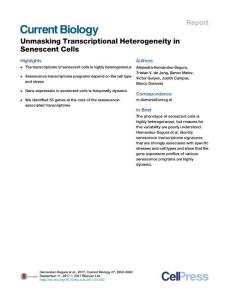 Current-Biology_2017_Unmasking-Transcriptional-Heterogeneity-in-Senescent-Cells