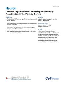 Neuron_2017_Laminar-Organization-of-Encoding-and-Memory-Reactivation-in-the-Parietal-Cortex