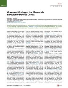 Neuron_2017_Movement-Coding-at-the-Mesoscale-in-Posterior-Parietal-Cortex