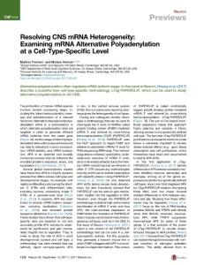 Neuron_2017_Resolving-CNS-mRNA-Heterogeneity-Examining-mRNA-Alternative-Polyadenylation-at-a-Cell-Type-Specific-Level