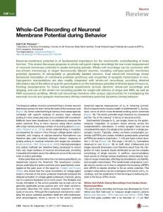 Neuron_2017_Whole-Cell-Recording-of-Neuronal-Membrane-Potential-during-Behavior