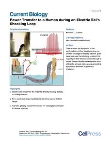 Current-Biology_2017_Power-Transfer-to-a-Human-during-an-Electric-Eel-s-Shocking-Leap