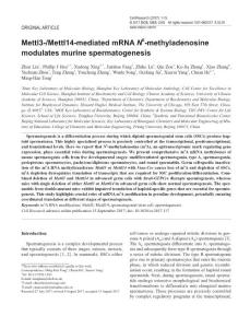 cr2017117a-Mettl3--Mettl14-mediated mRNA N 6-methyladenosine modulates murine spermatogenesis