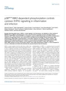 ncb3614-p38MAPKMK2-dependent phosphorylation controls cytotoxic RIPK1 signalling in inflammation and infection