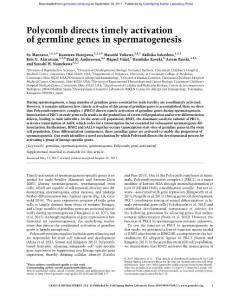 Genes Dev.-2017-Maezawa-Polycomb directs timely activation of germline genes in spermatogenesis