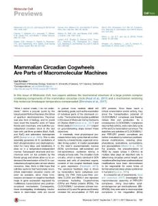 Molecular-Cell_2017_Mammalian-Circadian-Cogwheels-Are-Parts-of-Macromolecular-Machines