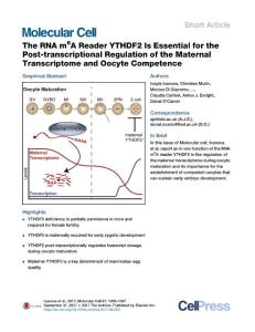 The-RNA-m6A-Reader-YTHDF2-Is-Essential-for-the-Post-transcriptional-Regulation-of-the-Maternal-Transcriptome-and-Oocyte-Competence_2017_Molecular-Cell